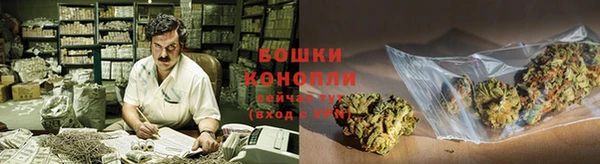 крисы Белокуриха
