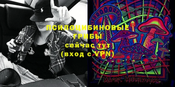 молекула духа Белоозёрский