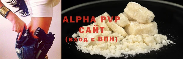 крисы Белокуриха