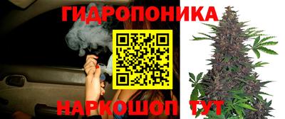 ГАЛЛЮЦИНОГЕННЫЕ ГРИБЫ Малгобек