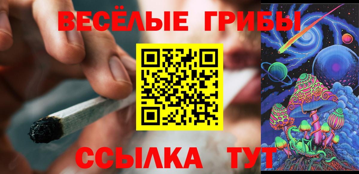 Псилоцибиновые грибы Psilocybe Дальнегорск