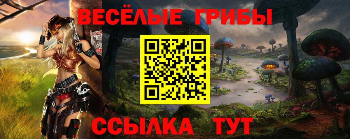 Дальнегорск  Галлюциногенные грибы мицелий  Вход с VPN 